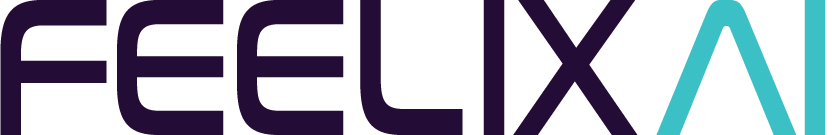 Feelix AI